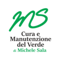 cura-e-manutenzione-del-verde-di-michele-sala