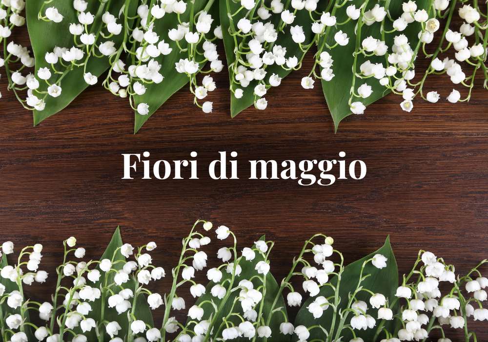 fiori-di-maggio